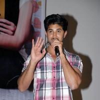 Arvind Krishna - Its My Love Story Movie Audio Launch Gallery | Picture 91331